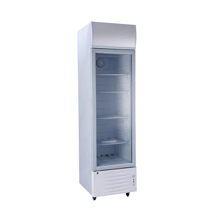 Single Door Normal12v/24v Upright Cooler LC-218 manufacturers